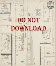 1885  Historical COPY  Map Live Oak  Florida  17" X 20"  VERY DETAILED