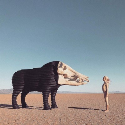 Dream Hunting in the Valley of the In-between by Man Man [CD]