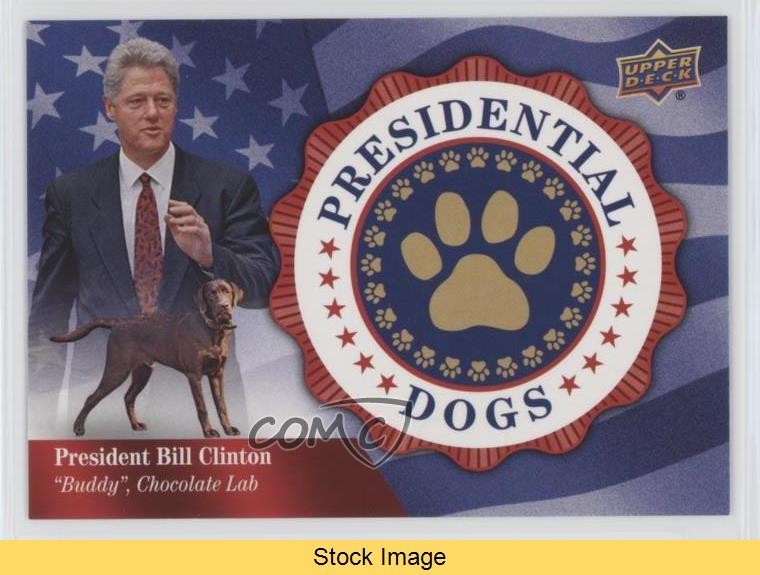 2018 Canine Collection Presidential Dogs Tier 2 Bill Clinton Buddy READ 0ec9