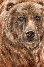 Grizzly Bear Painting, Wall Decor, Personalized Canvas Print