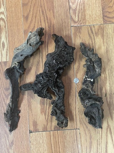 large pieces of driftwood for aquariums