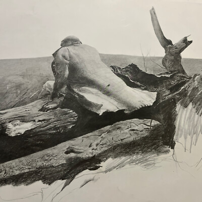 アート・デザイン・音楽 ANDREW WYETH Andrew Wyeth: Wind from the Sea 11 x 14 Print | National