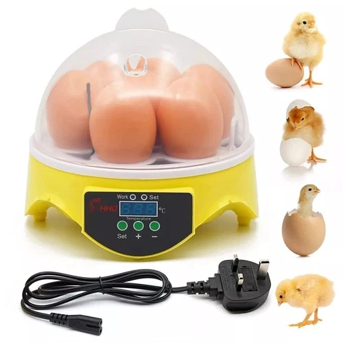 Egg Incubator Hatching Machine Breeder Portabel Chicken Eggs Hatcher for 7 Eggs - Picture 3 of 18