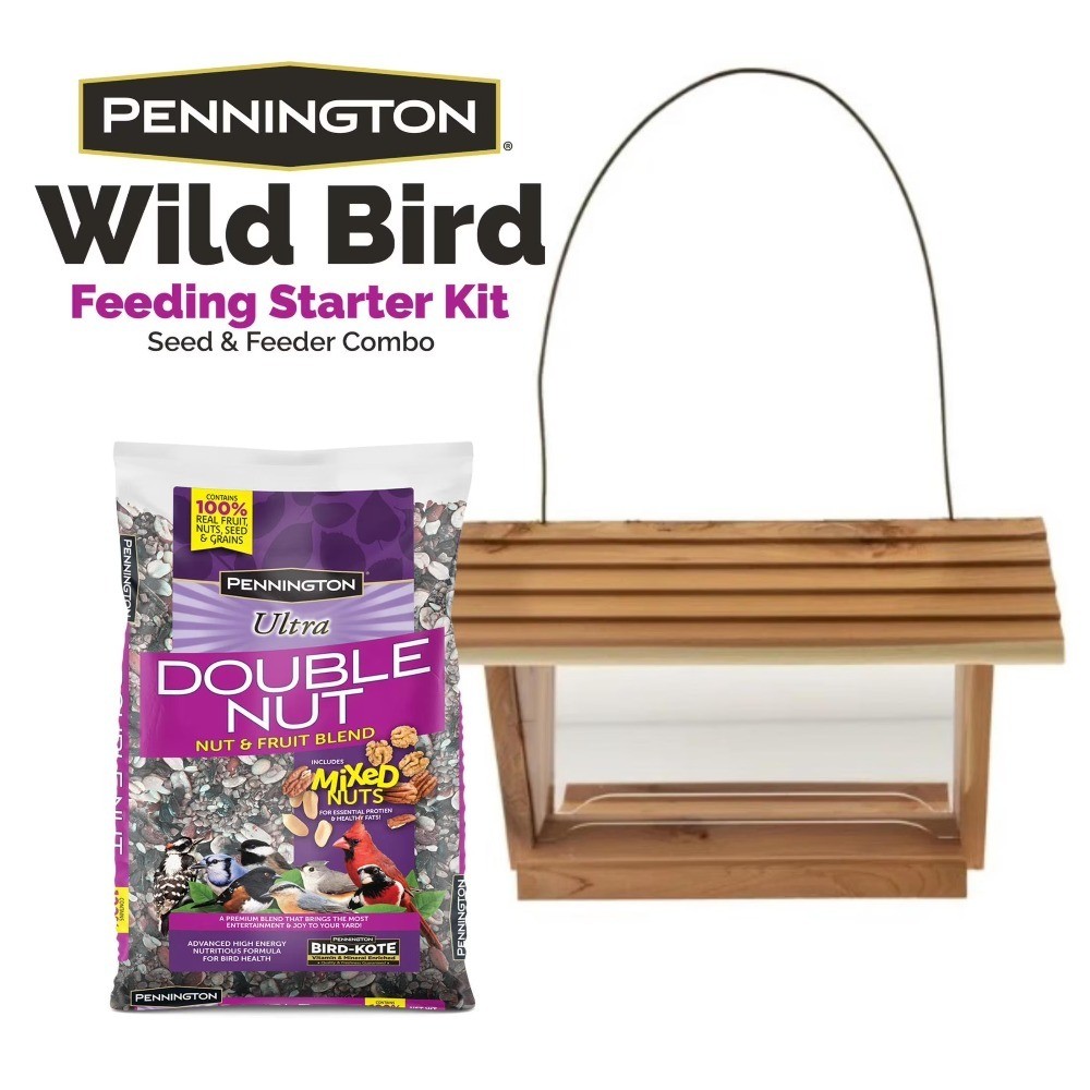 Starter Kit With 3lb Seed Capacity For Outdoor Bird Watching