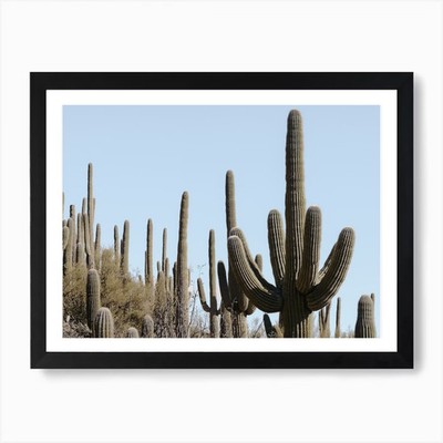 Saguaro Cactus Desert Art Print Framed Wall Art Poster Canvas Print Picture
