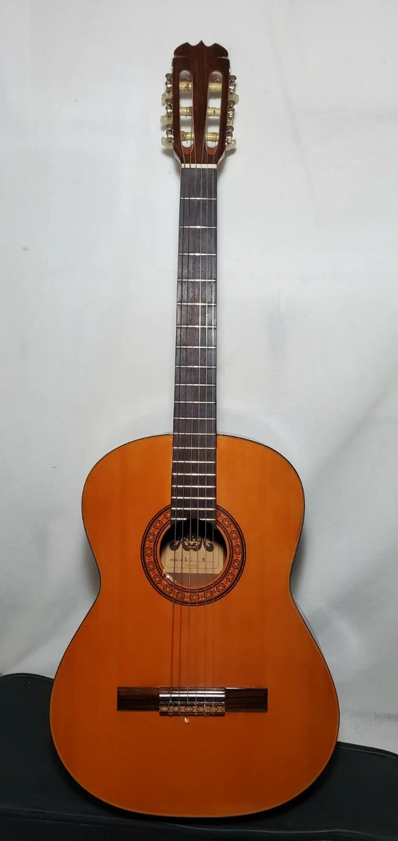 Aspen 12 string guitar online