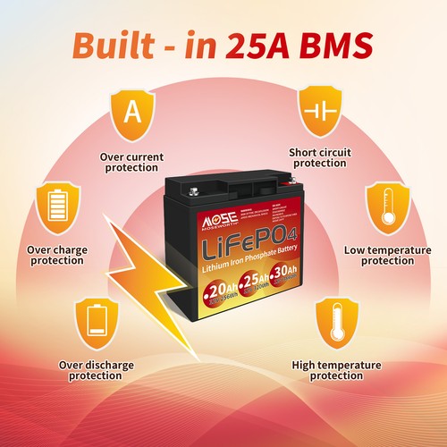 Batería LiFePO4 12V 24V 25Ah 50Ah 100Ah 200Ah 300Ah Batería Litio BMS RV Solar - Imagen 8 de 131