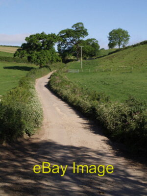 Photo 6x4 Gatcombe Lane Seaton/SY2490 Seen from the point where it reach c2007