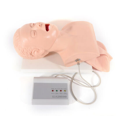 Airway Management Trainer Study Adult Oral Intubation Manikin Teaching Model NEW