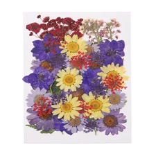 40 Pcs Dried Pressed Flower Leaves Bulk for Resin, Colorful Purple