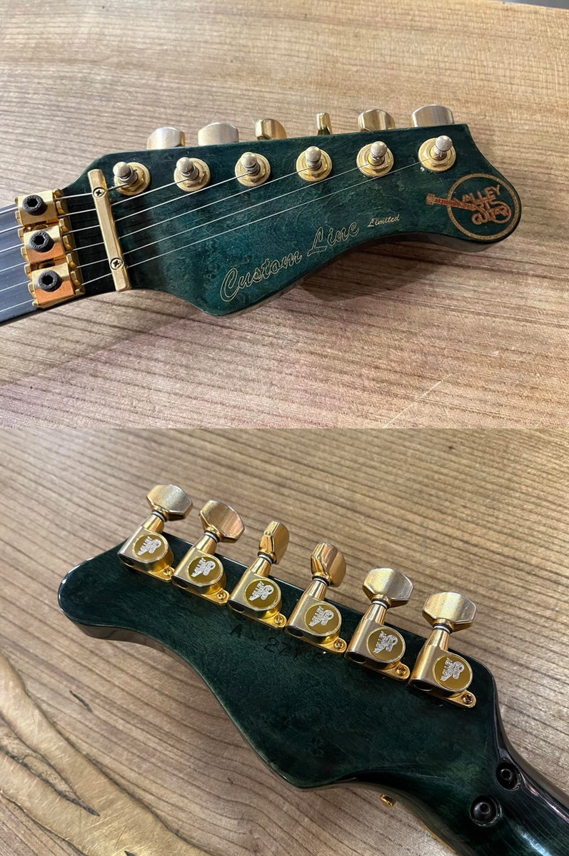 VALLEY ARTS Custom Line Limited Mシリーズ VALLEY ARTS Custom Line Limited Mシリーズ