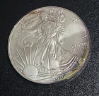 2010 AMERICAN SILVER EAGLE 1 Oz .999 Silver Bullion Coin Toned Rim ASE