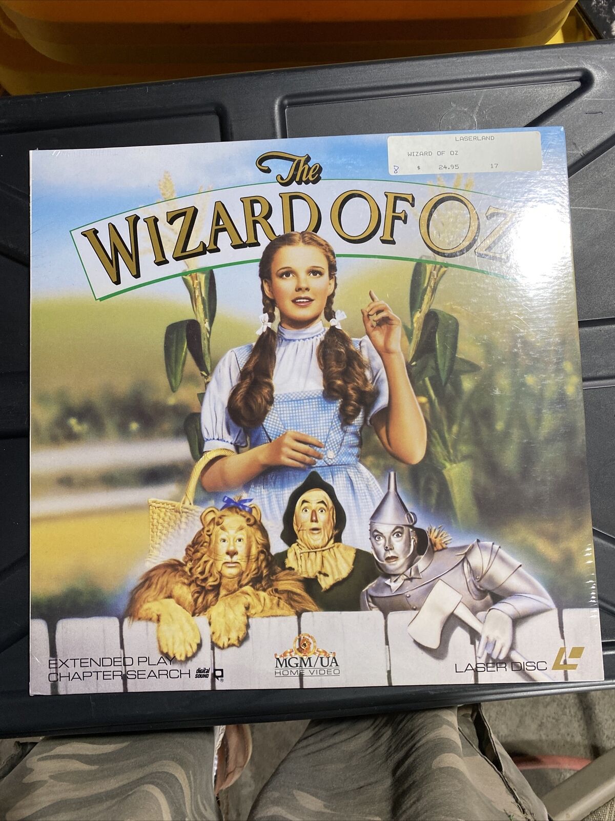 A Guide to The Wizard of Oz - Breaking Character