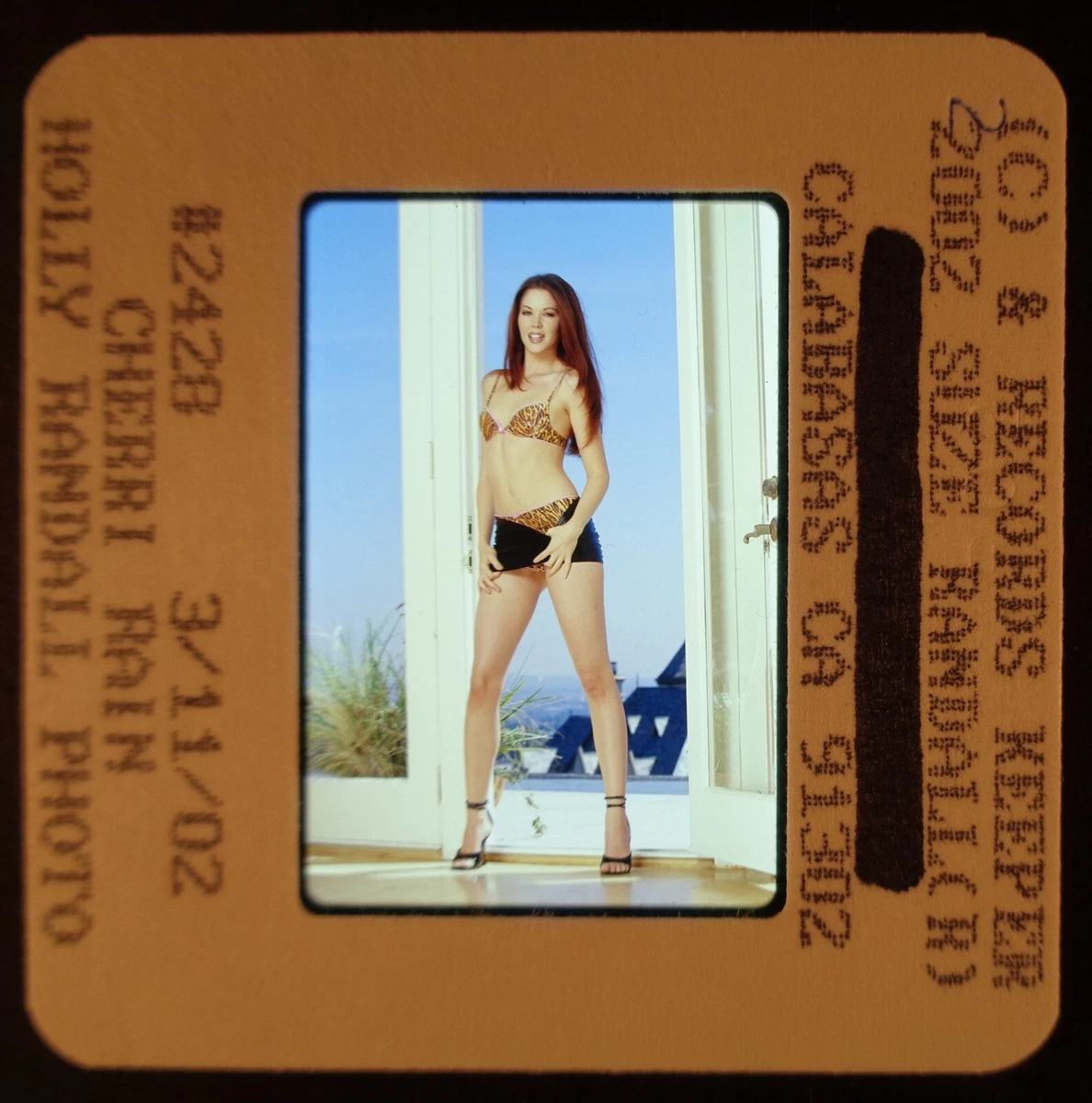 SR5-928 2002 CHERRY RAIN ORIG 35MM COLOR SLIDE VIA RARE SUZE RANDALL ARCHIVE eBay kone 1188x1200 billede SR5-928 2002 CHERRY RAIN ORIG 35MM COLOR SLIDE VIA RARE SUZE RANDALL ARCHIVE eBay