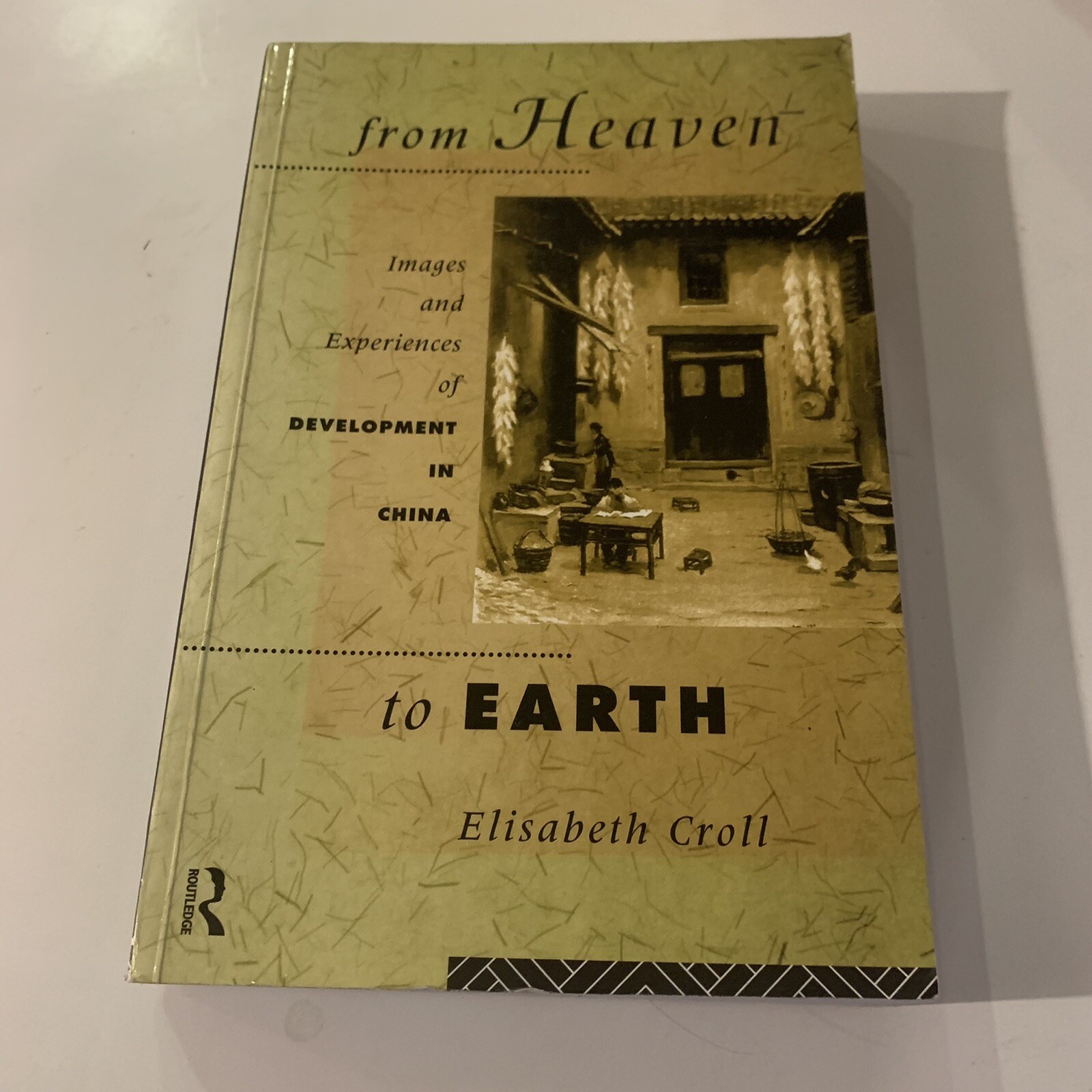 From Heaven to Earth: Images and Experiences of Development in China Elizabeth