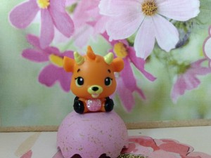 citrus coast hatchimals