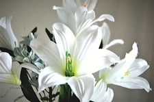 Timeless  Elegant 6 White Lily Stems - JaNice Interior Botanicals