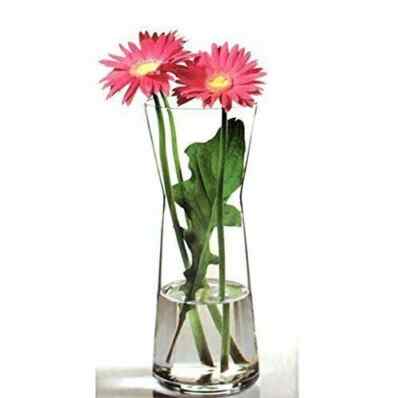 Flora Vase 1 Pasabahace aus Doppelglas   Deko-Vasen für Blumen
