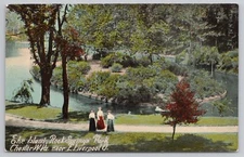 The Island at Rock Springs Amusement Park Chester WV Postcard 1424