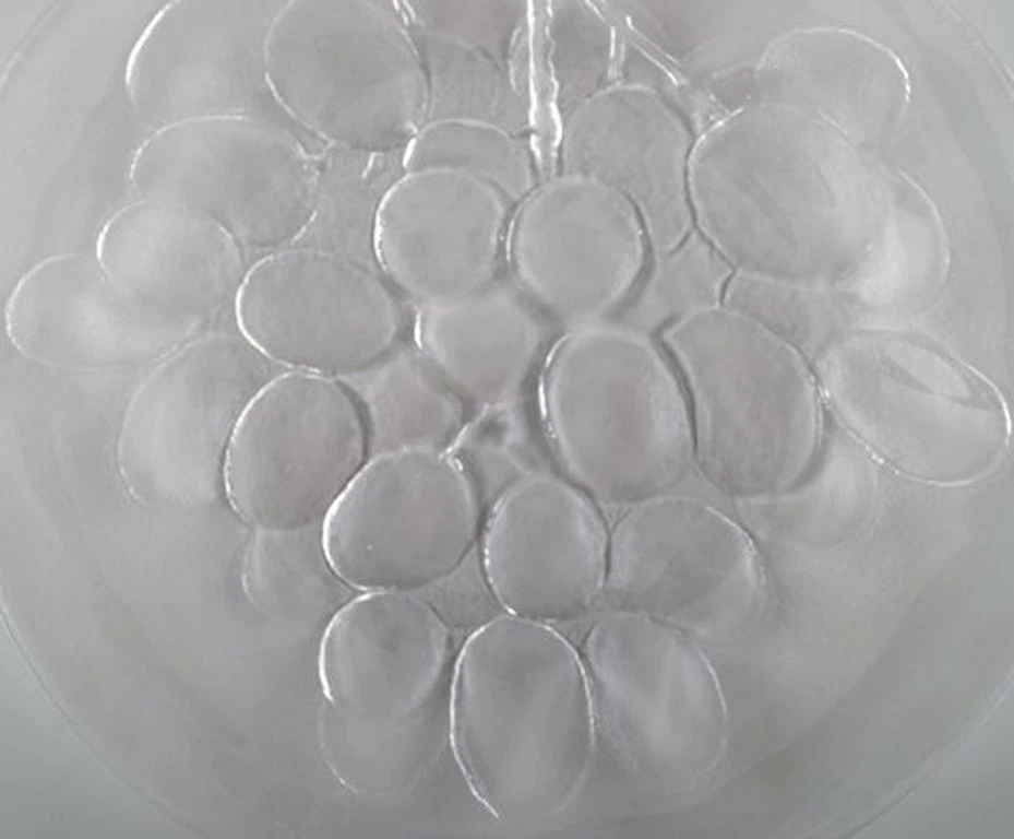 Verre d'art scandinave. Six plats en verre soufflé à la bouche ornés de grapp... - Photo 3/4