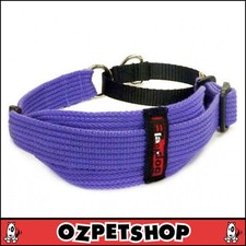 BlackDog - Black Dog Wear Greyhound Dog Collar - 5 Colours