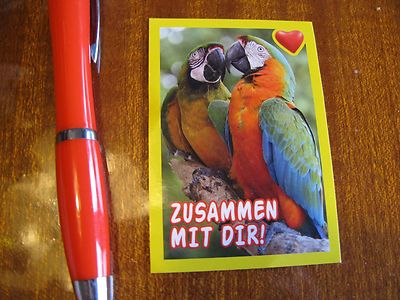 Sticker Papagai Parrot Couple Love Friendship Valentine Bird Kiss Together