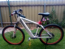 Nishiro NRG II Pedelec Electric Bike 
