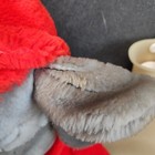 Foto 4 di 8