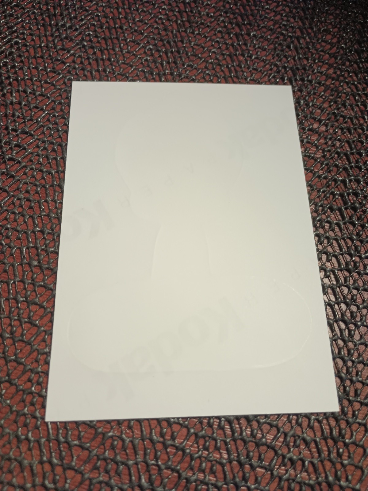Picture 5 of 5
