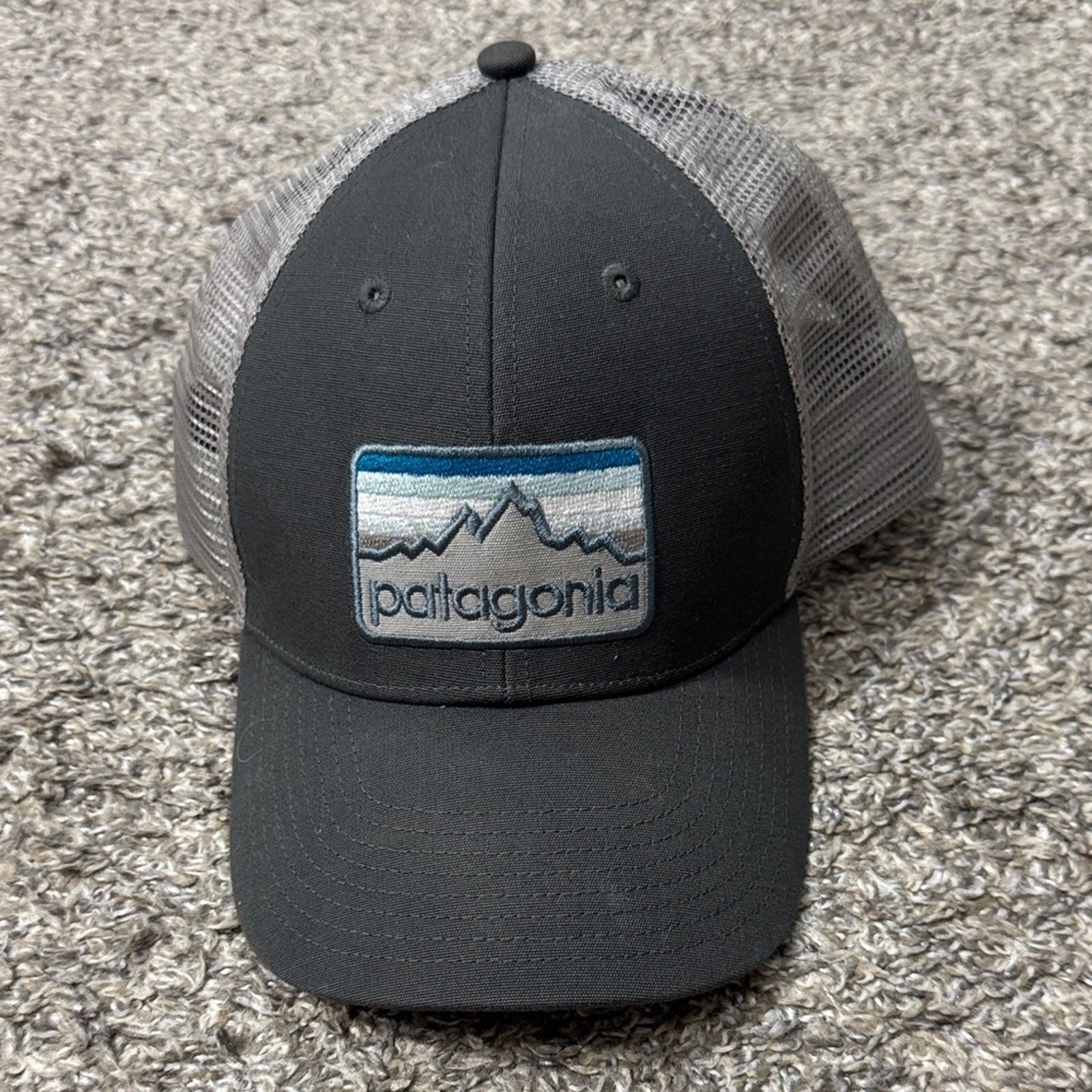 Patagonia Shop Sticker Patch LoPro Trucker Cap Grey