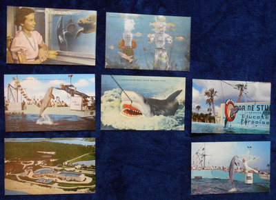 VINTAGE POSTCARD LOT of 7 MARINE STUDIOS MARINELAND FLORIDA UNPOSTED