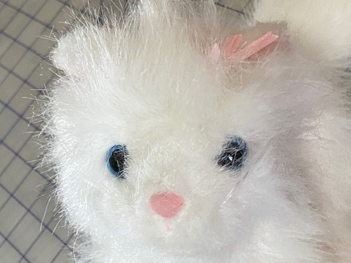 Ganz Webkinz Persian White Cat Kitty 8" Plush Stuffed Animal Blue Eyes HM110 - Picture 2 of 11