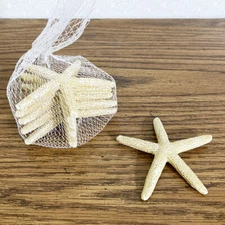 Decorative Starfish 3.5" Pack of 6 Small Coastal Beach Sea Nautical