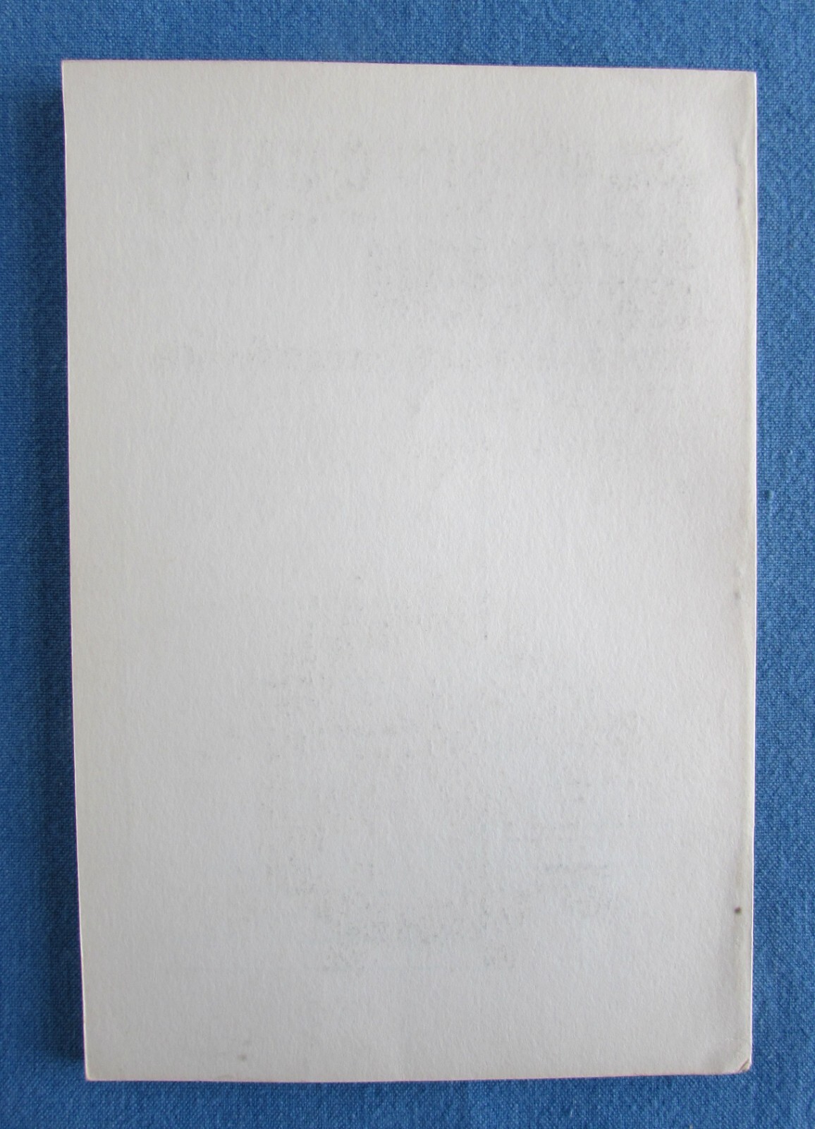 Bild 11 von 13