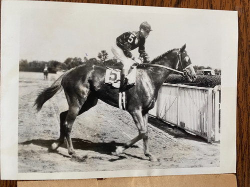 Original 1936 Press Photo of A. G. Vanderbilt's HOF Racehorse "DISCOVERY" - Picture 3 of 6