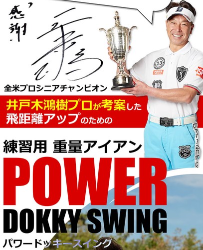 Golf Club World Eagle Power Docky Swing WE-PDS 800g Swing trainer from Japan - Picture 3 of 20