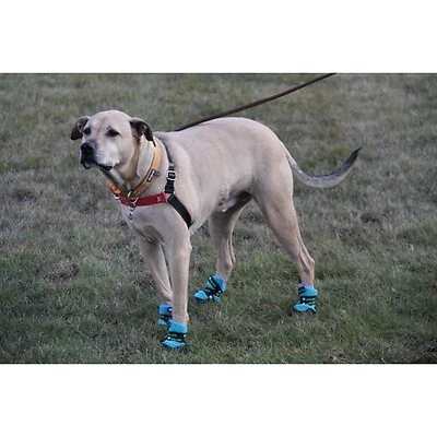 Healers urban top walkers dog boots