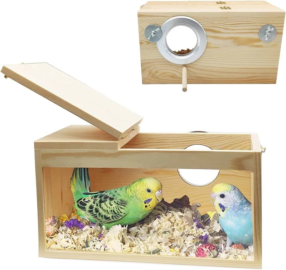 Transparent nest box for parakeets in natural wood, breeding box