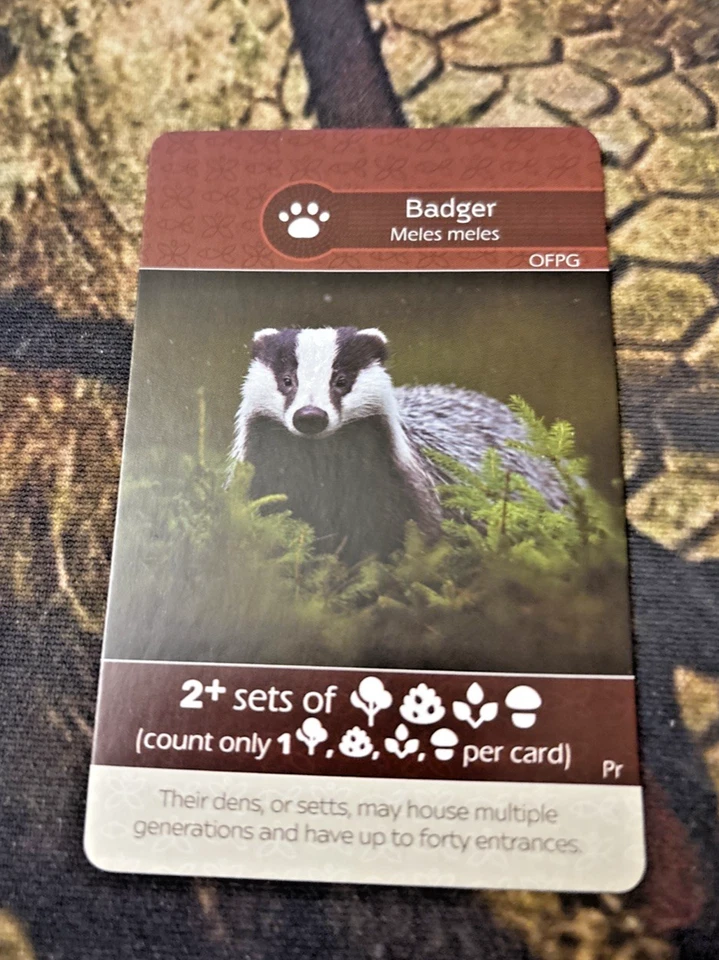 Tarjeta promocional Earth Board Game Red Fox/Badger Foto 2 de 2