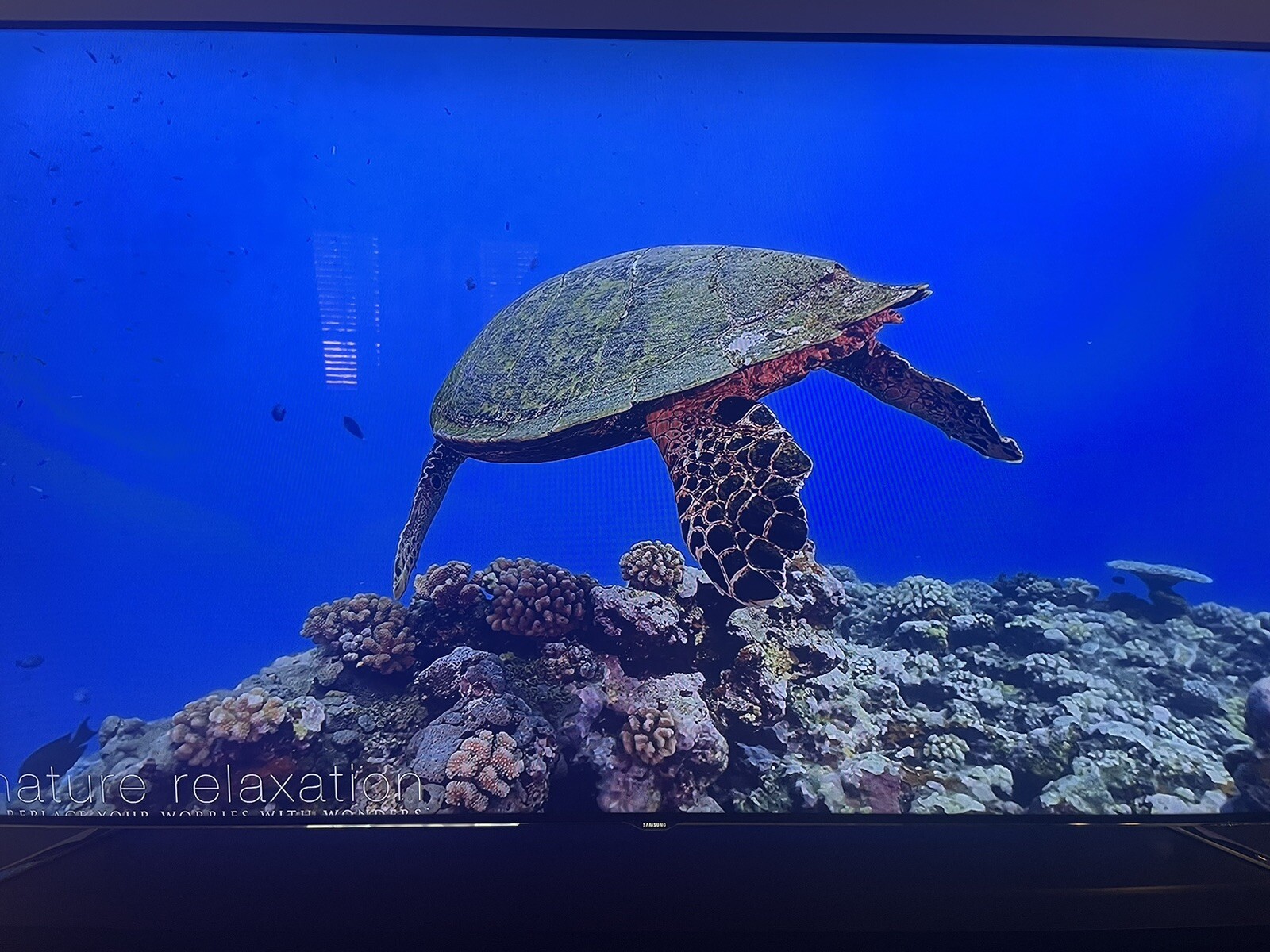 75 Inch Tv Samsung F8000 887276024882 EBay