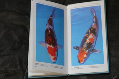 An Interpet Guide To Koi Barry James 5012922000131 Hard Cover Pond Fish Book - Picture 4 of 4