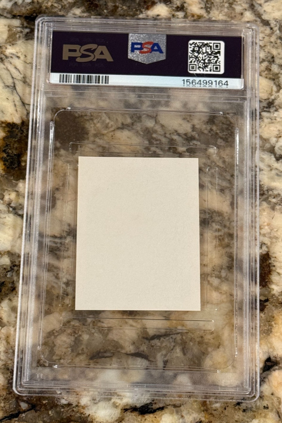 1955 All Amer. Sports Club Ted Williams #280 PSA 8 Freshly Graded Dead Centered view 2