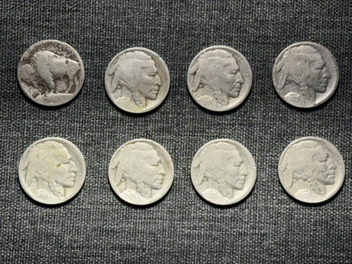 8 Early Buffalo Nickels - Teens 1913 to 1919 - Good Dates Carefully Restored