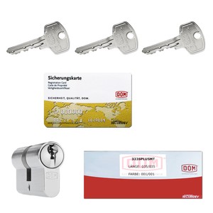 Dom Rs Sigma Schliesszylinder Profilzylinder N G Gleichschliessend Sicherungskarte Ebay