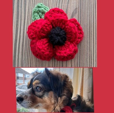 8 cm Häkelmohn für Hundehalsband, Harn, Wolle, gestrickt, Brosche Anstecknadel, Weihnachtsgeschenk