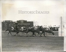 1940 Press Photo Bucking and jockey Packer wins Coconut Grove Race, Sunset Park