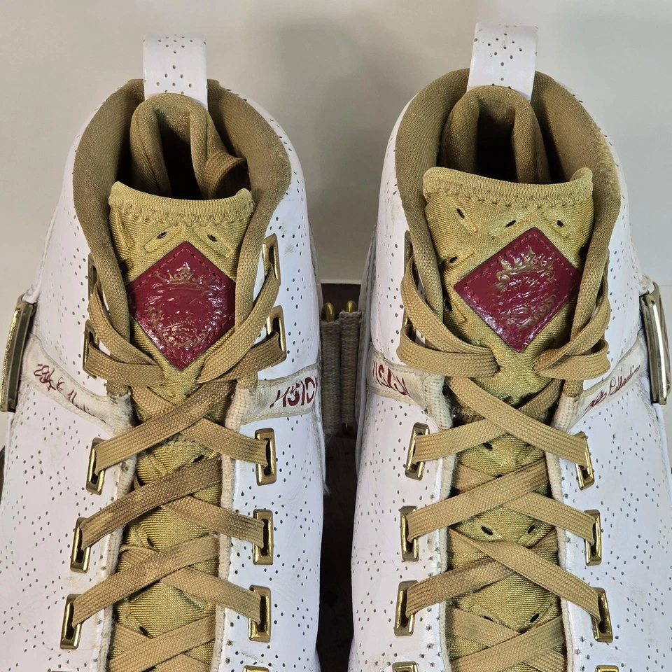 Nike Zoom LeBron V Zapatos Para Hombres 9.5 Baloncesto Colección ZLV 2007 Tenis Raros Foto 4 de 4