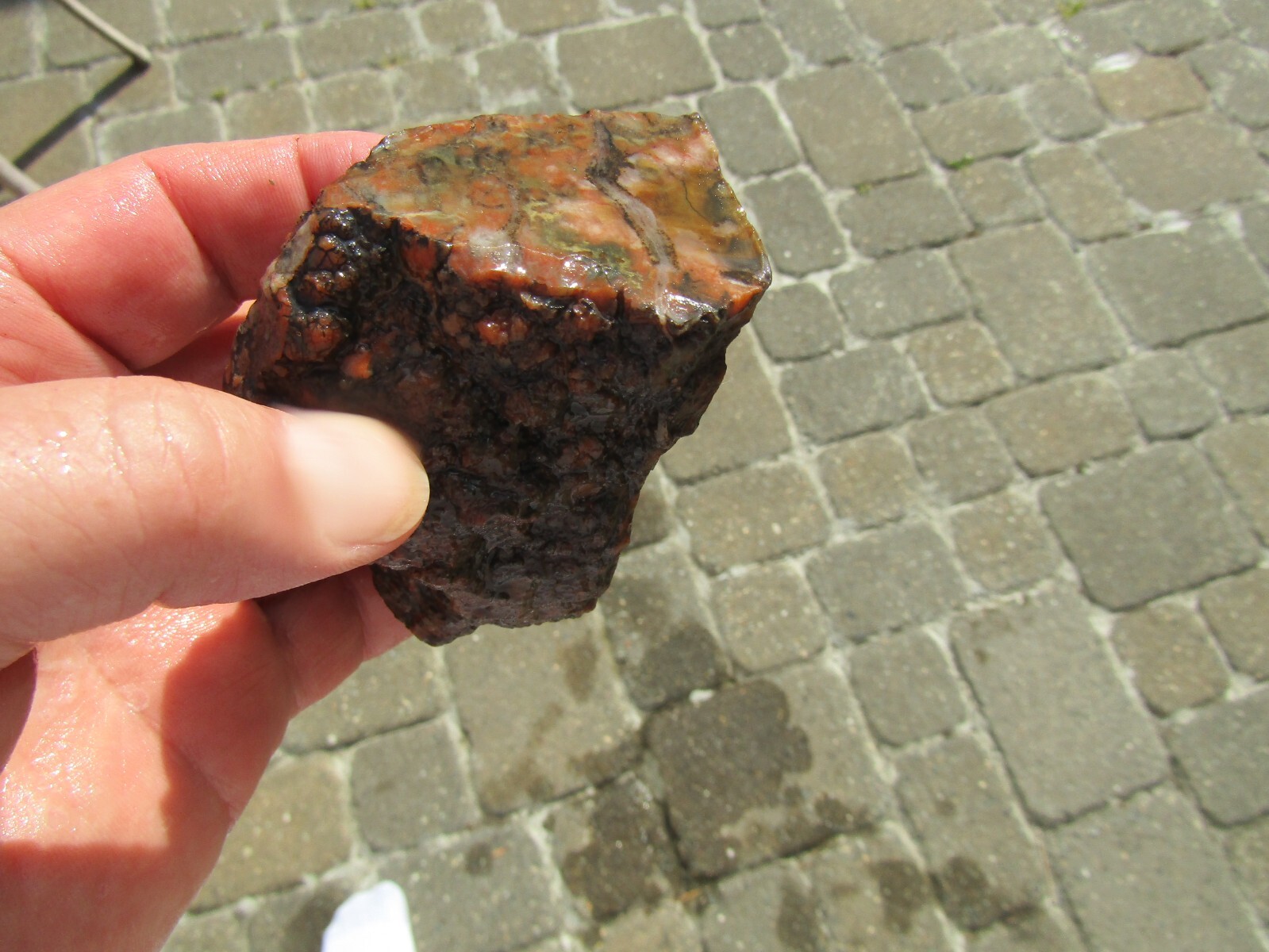 Bild 3 von 9