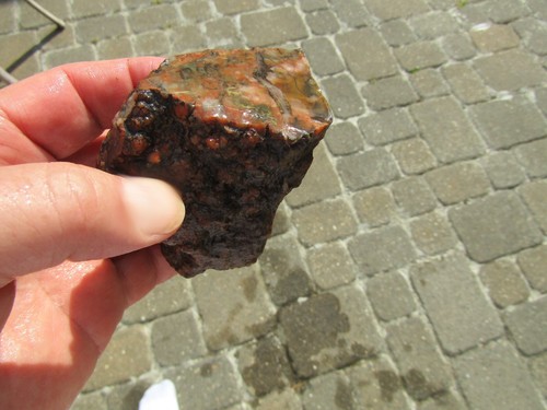 SELTEN fossiler Dinosaurier. KNOCHEN 388 Gramm - Bild 3 von 9