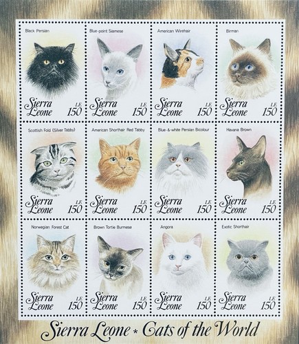 SIERRA LEONE CATS OF THE WORLD STAMPS SHEET 1993 MNH SIAMESE PERSIAN ANGORA PET